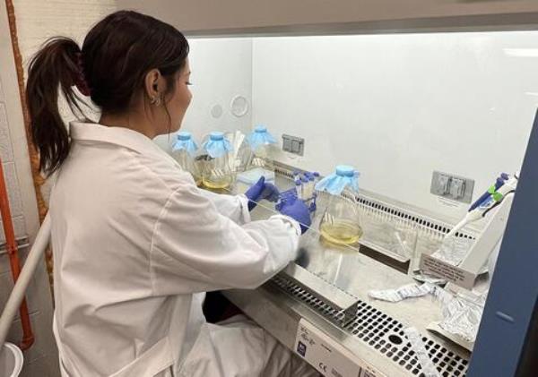 Karla Lopez working under a laboratory biosafety hood